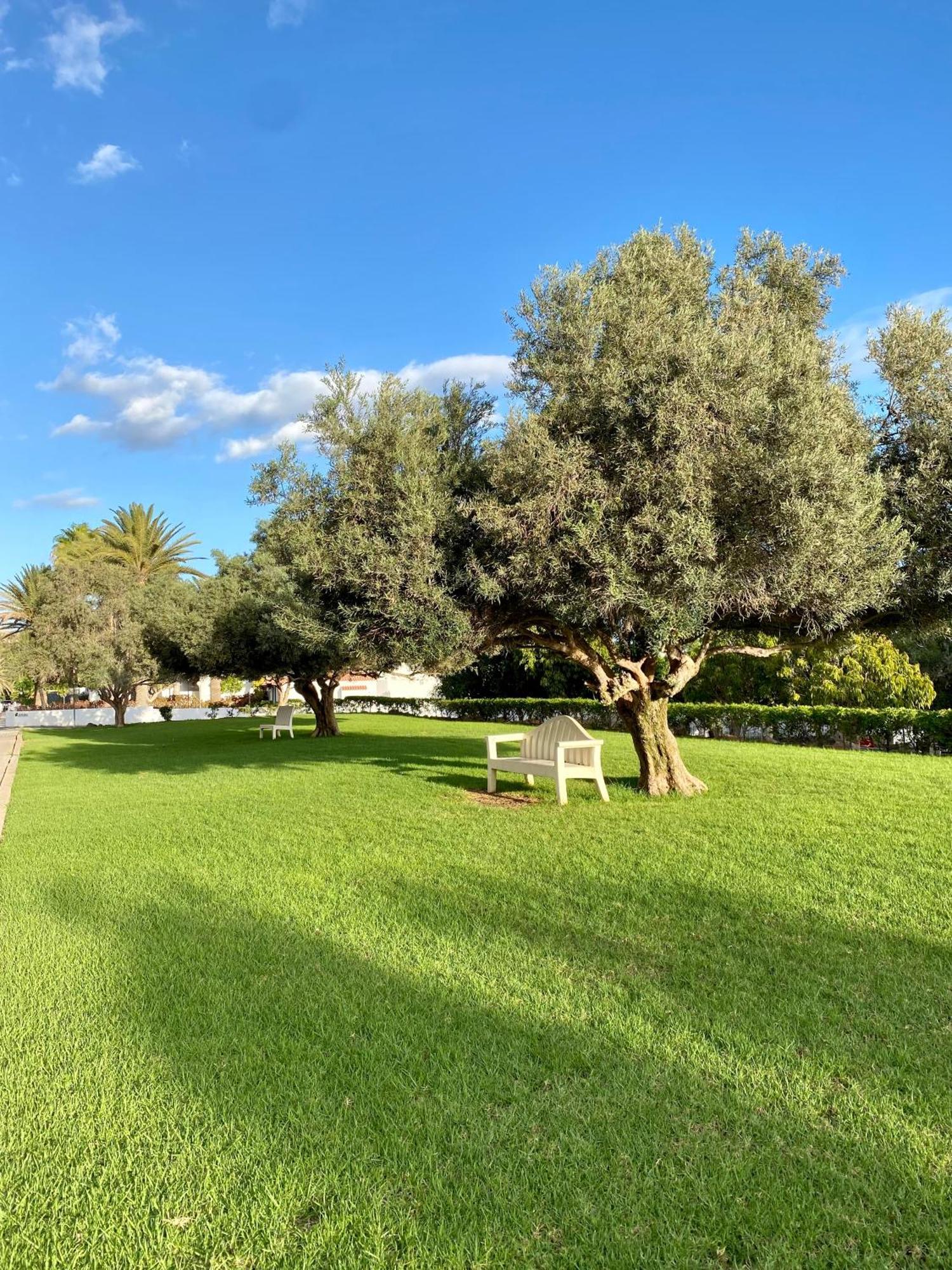Casa Con Terraza Y Piscina En Pasito Blanco, Cerca De Maspalomas Exterior foto